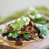 Barbecue Pulled Turkey Tostadas | https://67maleproducts.com