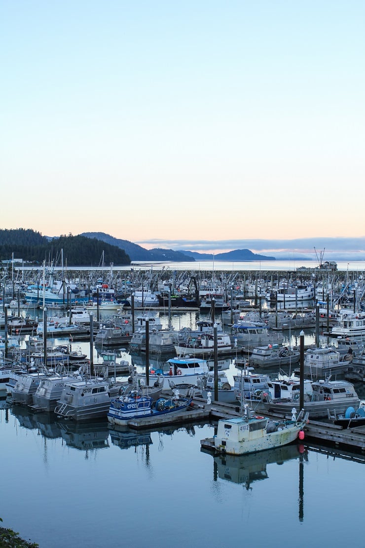 Cordova, Alaska | TheRoastedRoot.net #travel #copperriversalmon #knowyourfisherman #sustrainablesalmon 