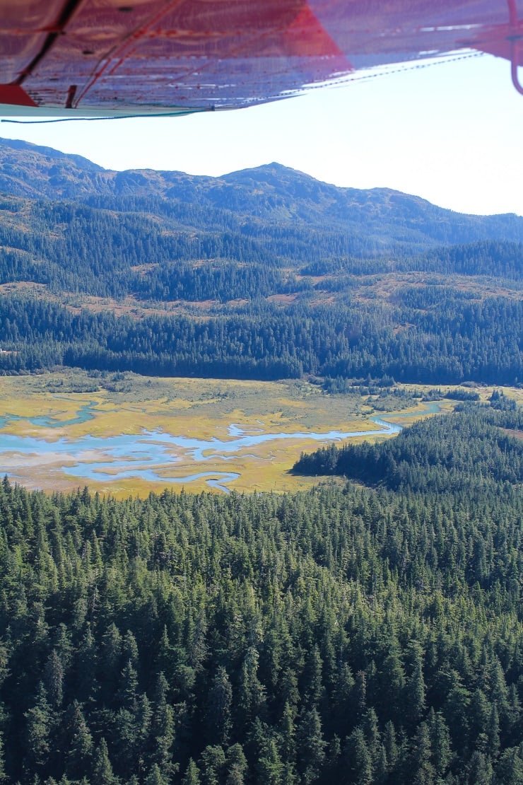 Cordova, Alaska | TheRoastedRoot.net #travel #copperriversalmon #knowyourfisherman #sustrainablesalmon