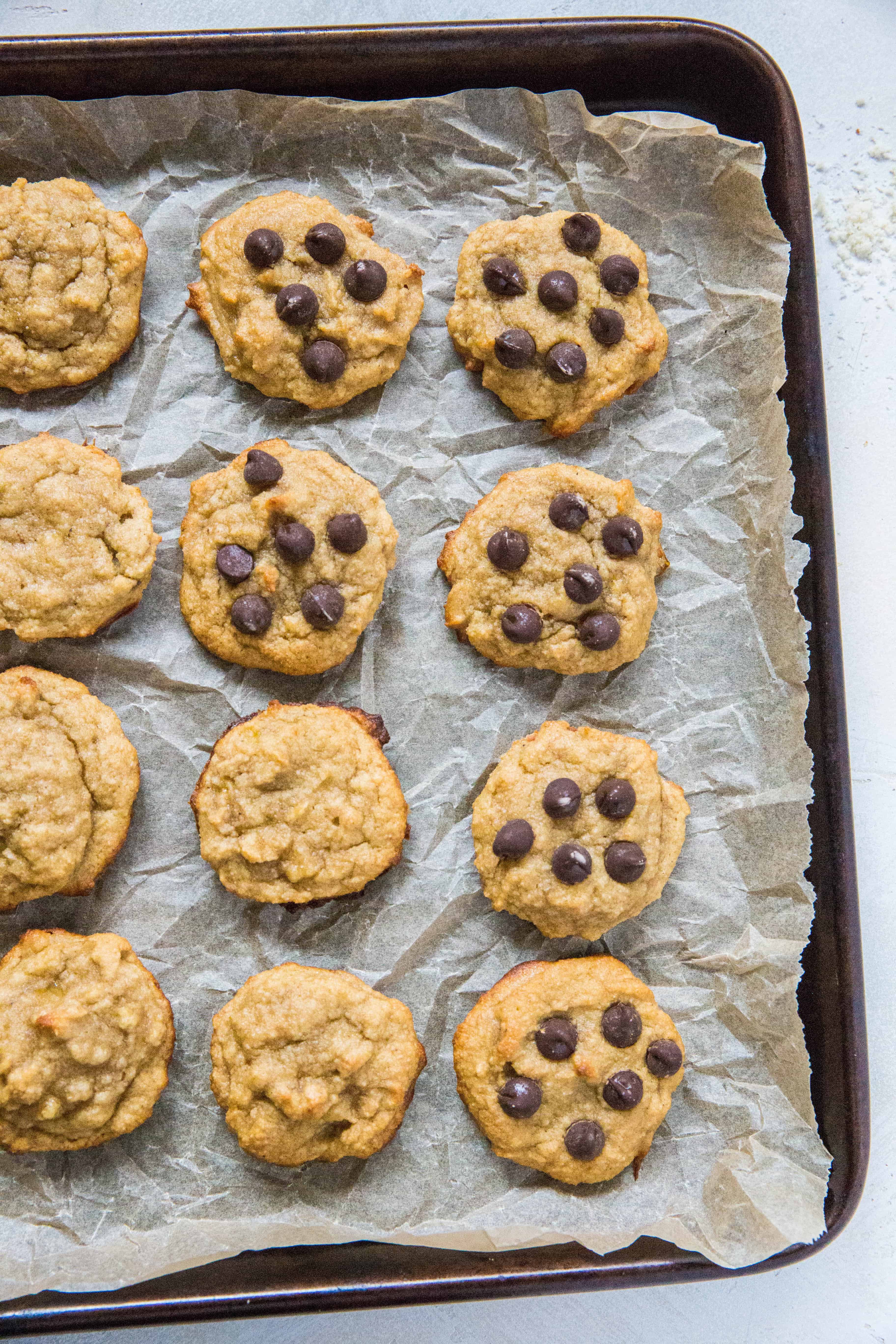 A baking tray lined with parchment paper holds twelve homemade paleo banana bread cookies, some topped with chocolate chips and others plain, arranged in neat rows.