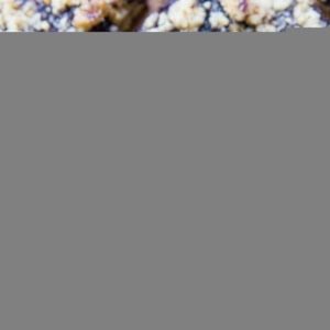 Blueberry crumb bars stacked on top of each other.