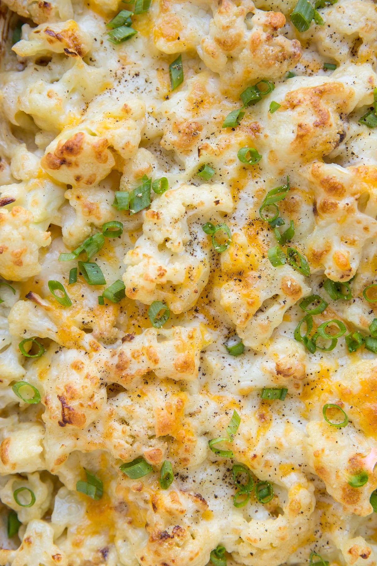 Close up on cheesy Cauliflower Casserole with golden brown cheese and chopped green onions, ready to serve.