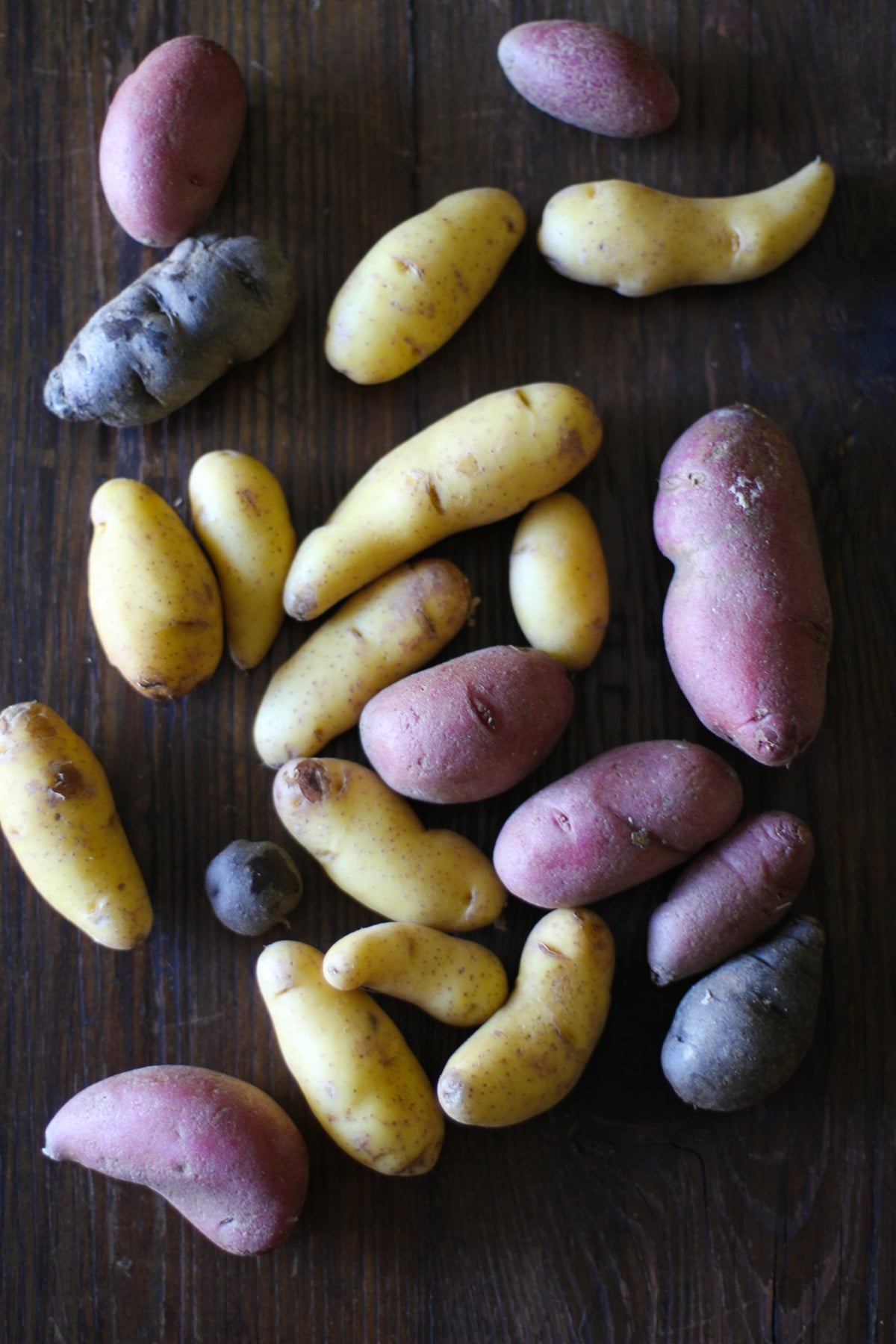 A variety of roasted fingerling potatoes in yellow, red, and purple colors are scattered on a dark wooden surface.