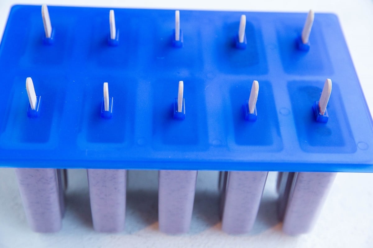Popsicle mold with a cover and popsicle sticks, ready to freeze.