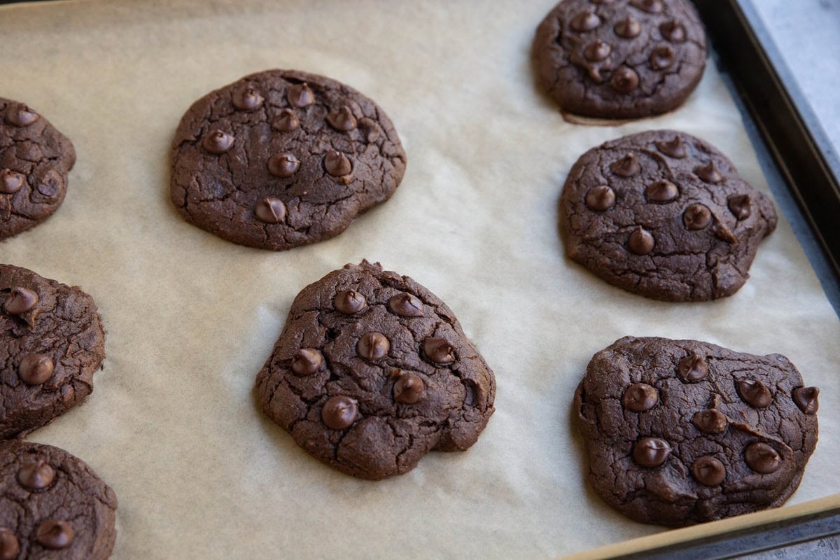 Baking sheet with chocolate pumpkin cookies on top, fresh out of the oven.