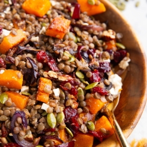 Butternut squash lentil salad in a large serving bowl with a golden spoon, ready to serve. Pecans and pumpkin seeds in the background.