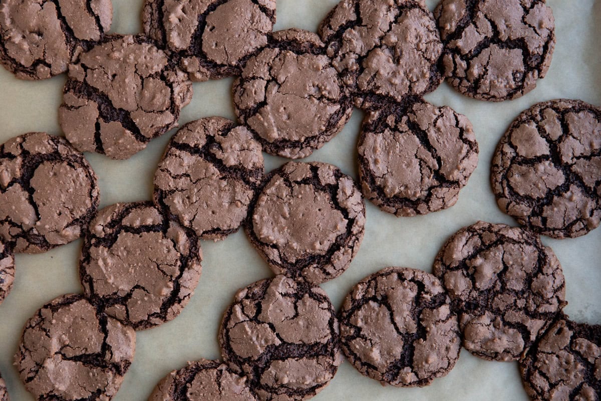 Baking sheet full of chocolate cookies with crinkle tops, fresh out of the oven.